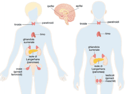 placeholder image to represent content