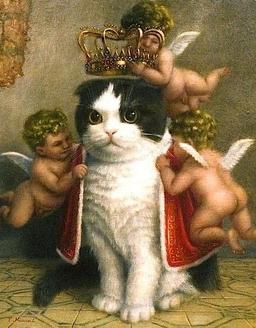 placeholder image to represent content