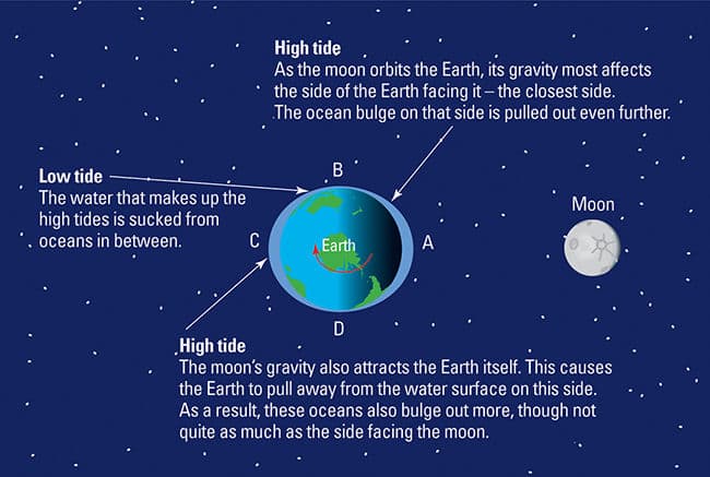 Question Image