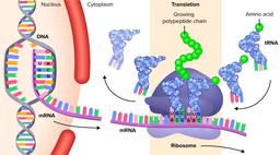 placeholder image to represent content