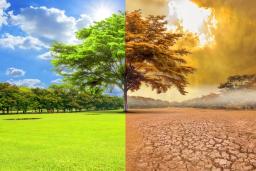 placeholder image to represent content