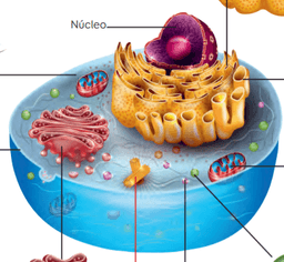 placeholder image to represent content
