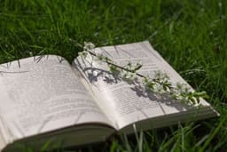 placeholder image to represent content