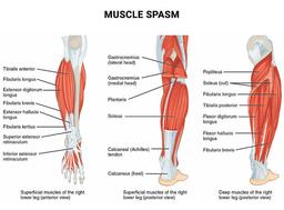 placeholder image to represent content