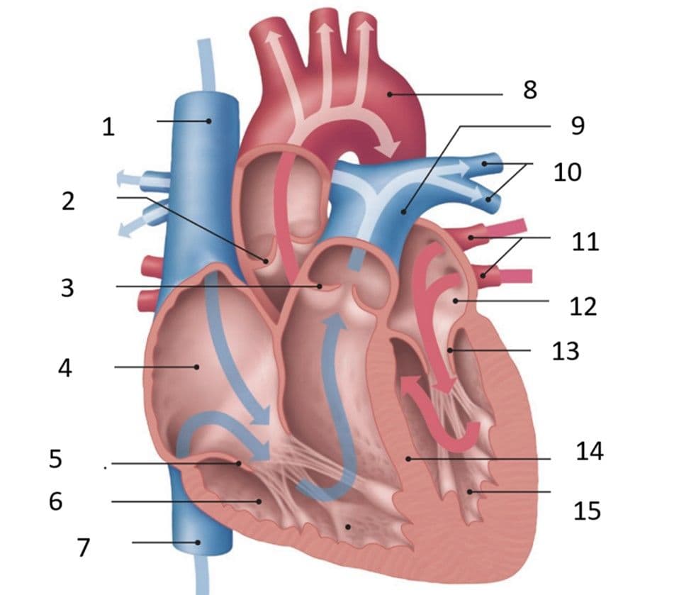 Question Image