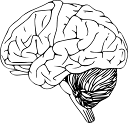 placeholder image to represent content