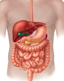 placeholder image to represent content