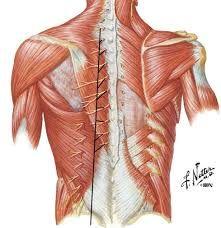 placeholder image to represent content