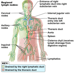 placeholder image to represent content