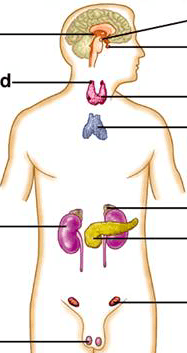 placeholder image to represent content