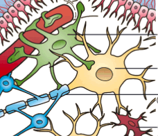 placeholder image to represent content