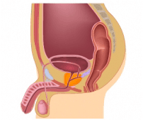 placeholder image to represent content