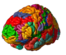 placeholder image to represent content