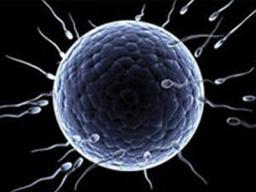 placeholder image to represent content