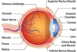 placeholder image to represent content