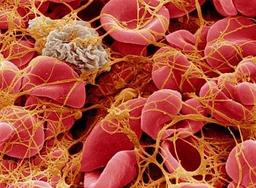 placeholder image to represent content