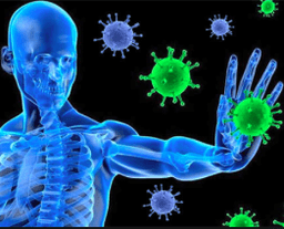 placeholder image to represent content