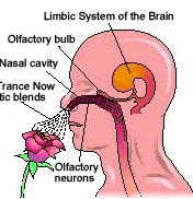 placeholder image to represent content