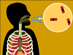 placeholder image to represent content