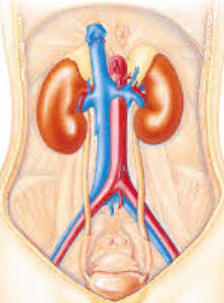 placeholder image to represent content