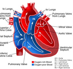 placeholder image to represent content