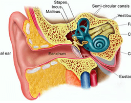 placeholder image to represent content