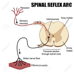 placeholder image to represent content