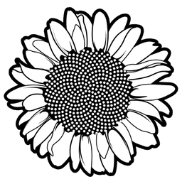 placeholder image to represent content