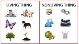 placeholder image to represent content