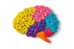 placeholder image to represent content