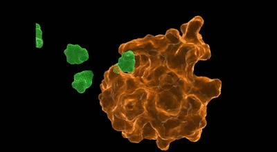 placeholder image to represent content