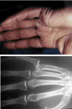 Question Image