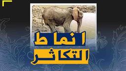 placeholder image to represent content