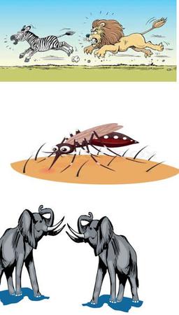 placeholder image to represent content