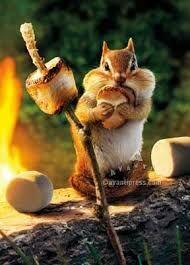 placeholder image to represent content