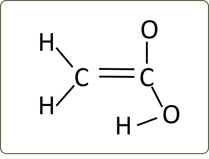 Answer Image