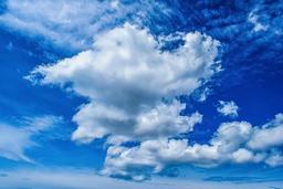 placeholder image to represent content