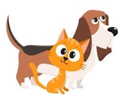 placeholder image to represent content