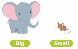 placeholder image to represent content