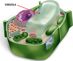 placeholder image to represent content