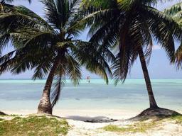 placeholder image to represent content