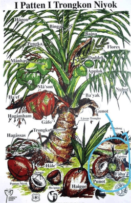 placeholder image to represent content