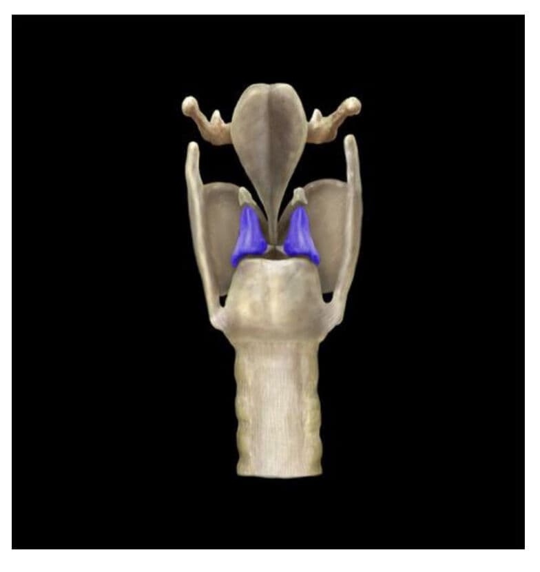 Question Image