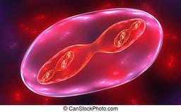 placeholder image to represent content