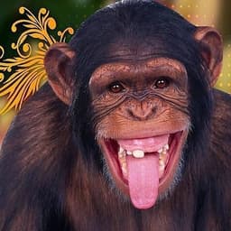 placeholder image to represent content