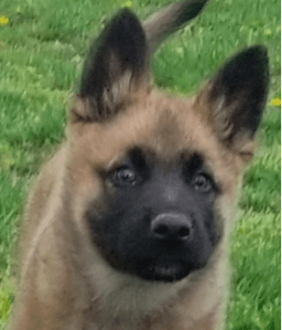 placeholder image to represent content