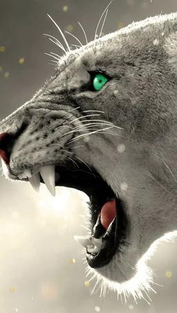 placeholder image to represent content