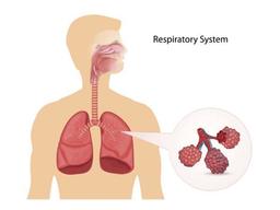 placeholder image to represent content