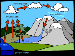placeholder image to represent content