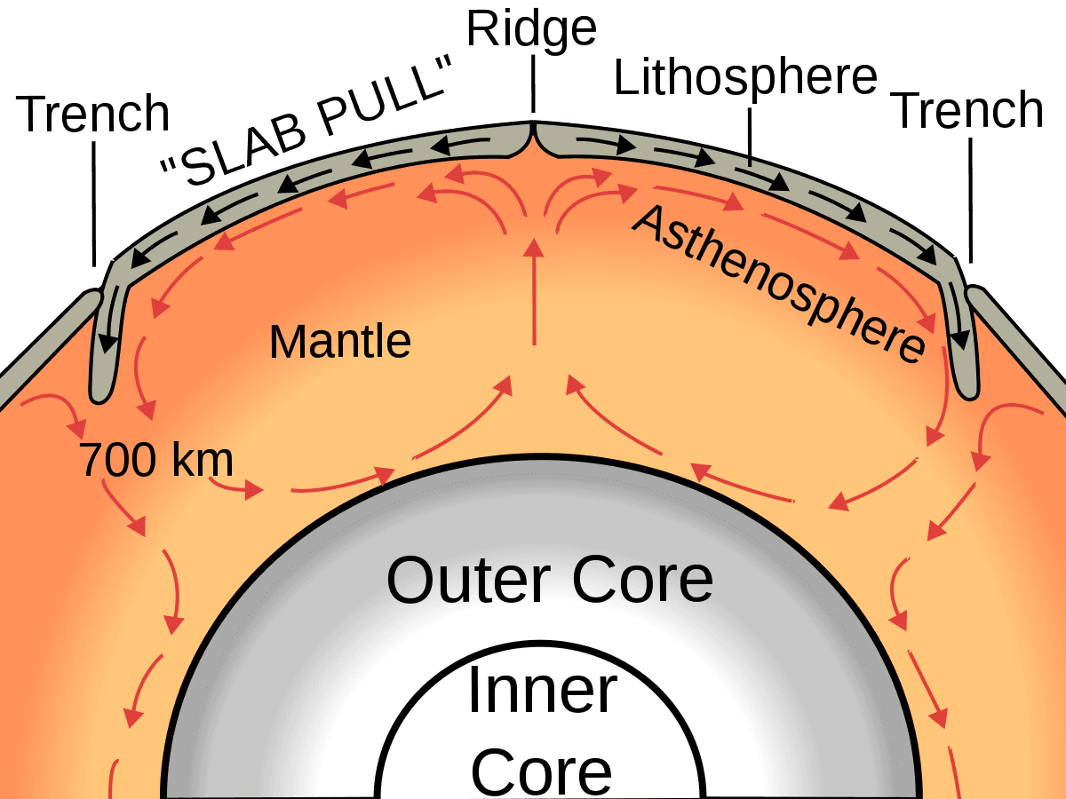 Question Image